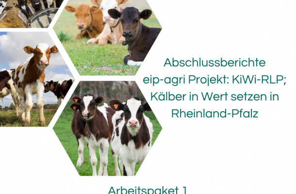 Abschlussbericht _ Teil2
