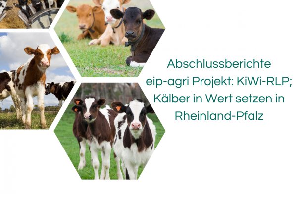Abschlussbericht _ AP2_1